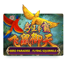 Bird Paradise