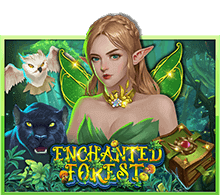 Enchanted Forest